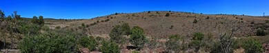Pano_from_Subdivision