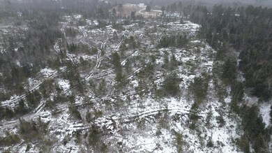 DJI_0439