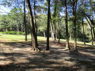 yard view