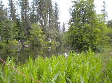 2500 Bison Place, Gold Hill, OR 97525 - photo 5