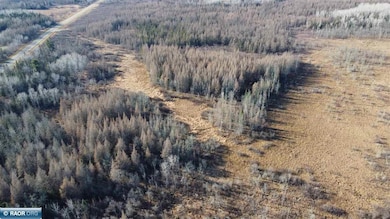 7917 Hinkkanen Rd, Cedar Valley Township, MN 55736 - photo 3