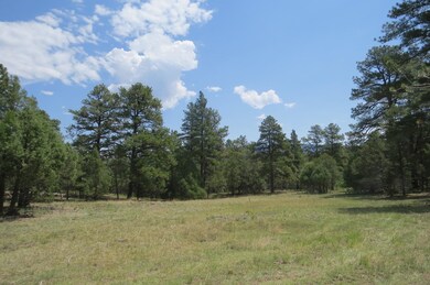 33260 Turkey Creek Ln unit Parcel B50, Trinidad, CO 81082 - photo 6