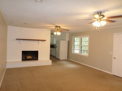 Fireplace In Cozy Den