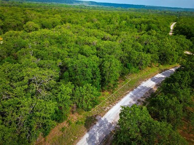 View of bird's eye view