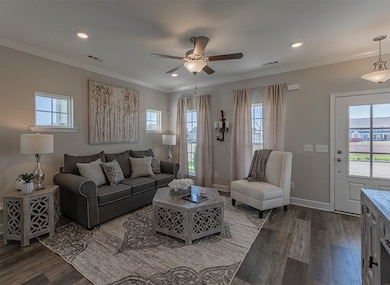 All the pictures are of the Model at Harvest Point in Spring Hill, TN.