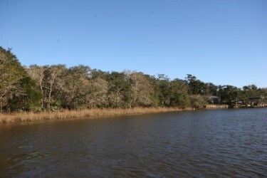 3745 Farm To Market 2611, Brazoria, TX 77422 - photo 6