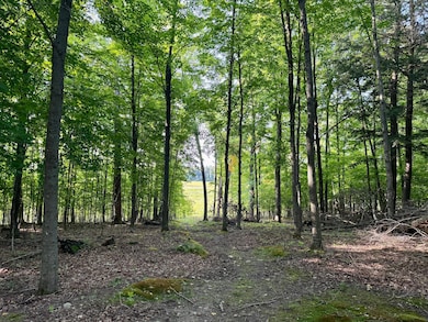 W5333 Hillcrest Rd, Bradley, WI 54487 - photo 5