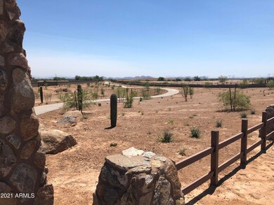 Beautiful Desert Scenery