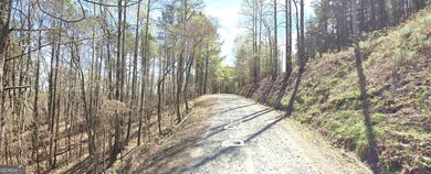 Dry Pond Road frontage