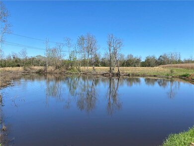 TBD Ruth Holton Rd, Amite, LA 70422 - photo 5