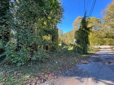 00 Costa Rd unit Tract 16, Costa, WV 25051 - photo 4