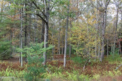 131 Water View Dr, Hawley, PA 18428 - photo 5