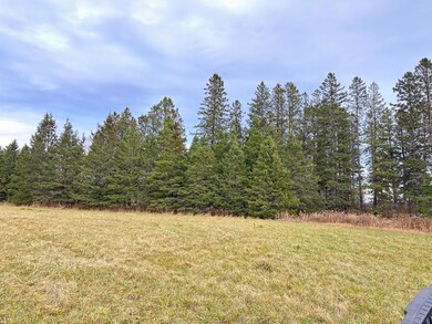 W6430 Melrue Rd, Prentice, WI 54556 - photo 5