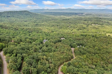 Bird's eye view of a heavily wooded area and a mountainous background