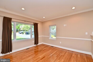 3423 Spring Dr, Alexandria, VA 22306 - photo 5