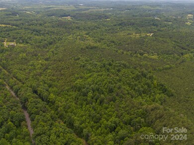 0 Us 64 Hwy, Union Mills, NC 28167 - photo 6