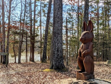 0 Carriage Ln unit 70641, Clarksville, VA 23927 - photo 4