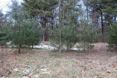 17 Longhorn Rd, Union Township, PA 16652 - photo 6