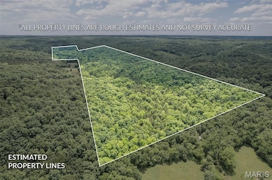 23201 Private Drive 6474, Duke, MO 65461 - photo 2