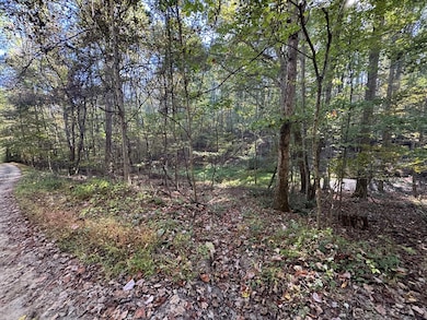 120 Horizon Ln, Lester, WV 25865 - photo 3