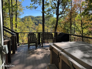 3133 Hatcher Top Rd, Sevierville, TN 37862 - photo 4