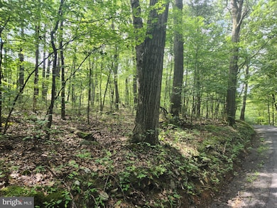 Off Thomas Rd, Alum Bank, PA 15521 - photo 7