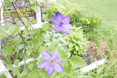 P1030158