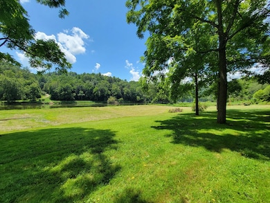 TBD Riverside Dr, Independence, VA 24348 - photo 5