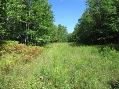 000 Sutherland Rd, Mason, WI 54856 - photo 7