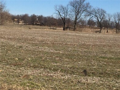 54.42 AC Butler St, Prairie Grove, AR 72753 - photo 2