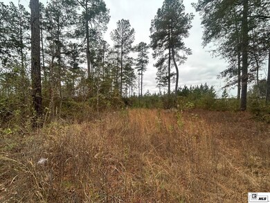 0 Caples Rd unit 217345, B, LA 71292 - photo 4