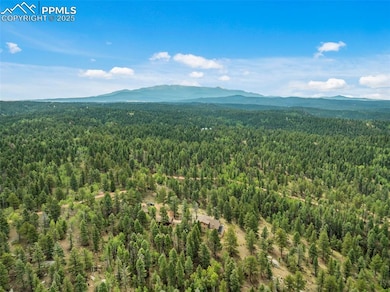 4665 W Highway 24, Florissant, CO 80816 - photo 7