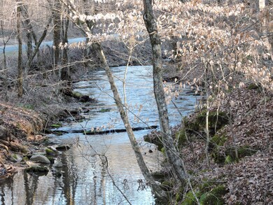 482 Little Possum Creek Rd, Linden, TN 37096 - photo 2