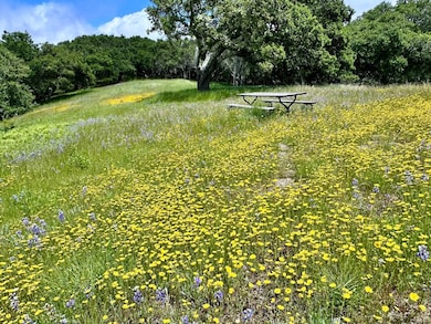 8 Corral Run, Carmel, CA 93923 - photo 4