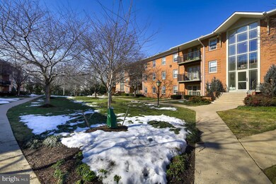 3330 Spring Ln unit D20, Baileys Crossroads, VA 22041 - photo 2