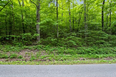 0 White Oak Rd unit RTC2389210, Stewart, TN 37175 - photo 4