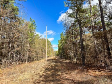 County Road 2235, Bagwell, TX 75412 - photo 4