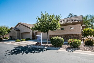 Desert Willow St-3
