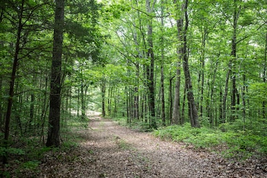 5450 Old Highway 96, Franklin, TN 37064 - photo 2