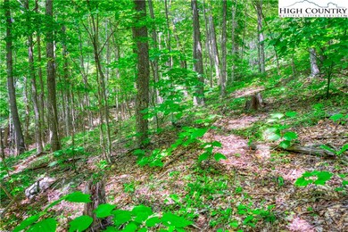 Lot 10 Quail Ridge Dr, Fleetwood, NC 28626 - photo 6