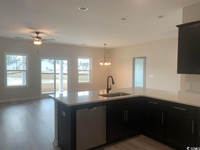 293 Palmetto Sand Loop unit Lot 58 Model Talbot, Conway, SC 29527 - photo 5