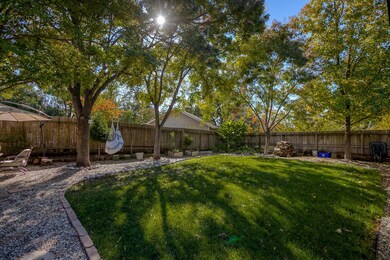 Shady & Grassy Backyard
