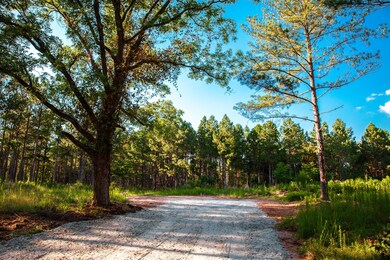 7185 Bill Dorn Rd, Appling, GA 30802 - photo 4