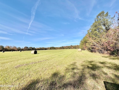 6803 Bowling Green Rd, Durant, MS 39063 - photo 4