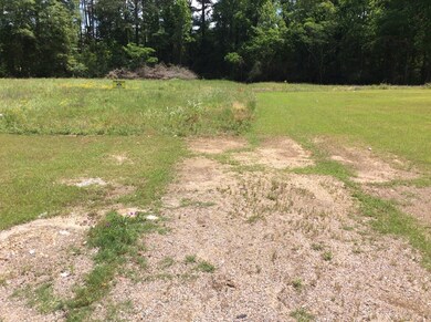 1253 S Forest Ave, Luverne, AL 36049 - photo 4