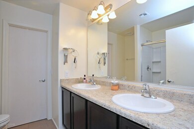 Double Sinks in the Master Bath