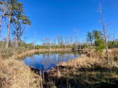 3420 Lower Gladding Rd, Magnolia, MS 39652 - photo 4
