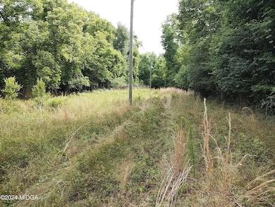 4400 Davis Rd, Macon, GA 31217 - photo 2