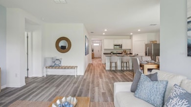 17619 Acorn Drop Rd, Land O' Lakes, FL 34638 - photo 4