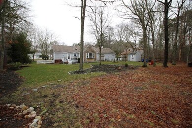 Additional Photo
